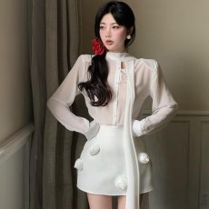 24030104 main image