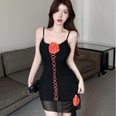 24050403 main image