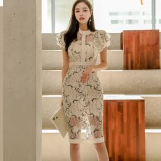 24050214 main image